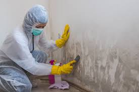 Best Basement Mold Removal  in De Leon Springs, FL